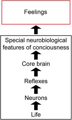 Subjectivity “Demystified”: Neurobiology, Evolution, and the Explanatory Gap